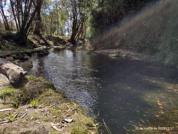 Se vende Hermosa parcela a orilla de Rio Mafil - Region de los Rios