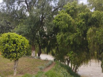 SE VENDE EDIFICIO DE 5 PISOS AL FRENTE DEL RIO HUALLAGA AL COSTADO DEL TOTTUS A.T. 290 M2 SUPER COMERCIAL Y CON LOS 5 PISOS CON RENTA MENSUAL.