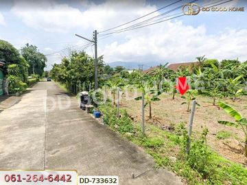 Land Mae Rim 397.7 sq w. Chiang Mai near Wat Don Kaew