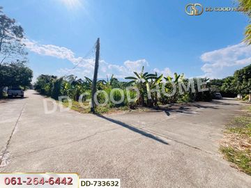 Land Mae Rim 397.7 sq w. Chiang Mai near Wat Don Kaew