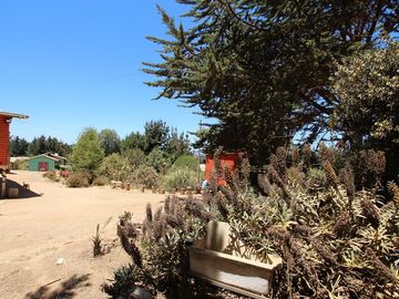 Se Vende Hermosa Casa en Pasaje Los Boldos, El Tabo