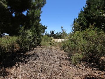 Se Vende Hermosa Casa en Pasaje Los Boldos, El Tabo