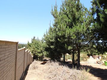 Se Vende Hermosa Casa en Pasaje Los Boldos, El Tabo