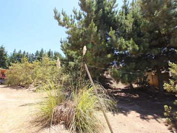 Se Vende Hermosa Casa en Pasaje Los Boldos, El Tabo