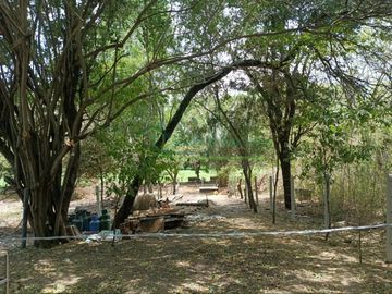 SE ARRIENDA CASALOTE EN LA VEREDA MANUEL SUR.