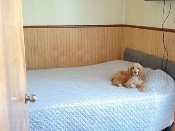 ¡Hermosa Casa Pareada en El Bosque!