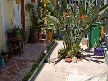 ¡Hermosa Casa Pareada en El Bosque!