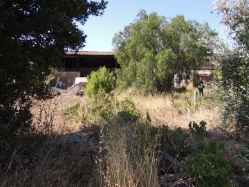 TERRENO DE 2.302 MT URBANO EN BELLOTO, QUILPUE