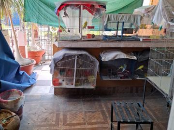 Vendo casa ubicada en avenida principal de 4 recamaras en Villa de las Flores