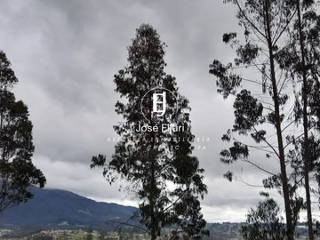 TERRENO EN VENTA SAN JOAQUIN