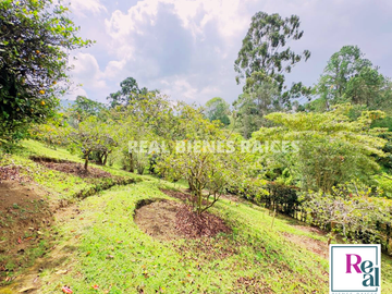 VENTA DE FINCA EN EL CANADÁ, ENTRE RIONEGRO Y LA CEJA ANTIOQUIA