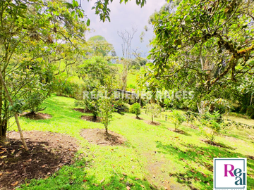 VENTA DE FINCA EN EL CANADÁ, ENTRE RIONEGRO Y LA CEJA ANTIOQUIA