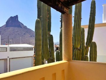 condominio casa en renta san carlos sonora beach condos house rental vacation