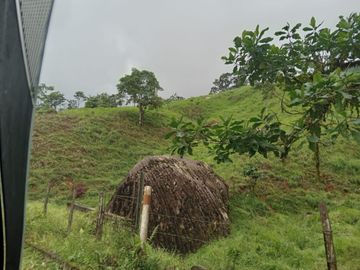 Venta de  Terreno, Via Paccha , cerca a Cerro Azul, El Oro