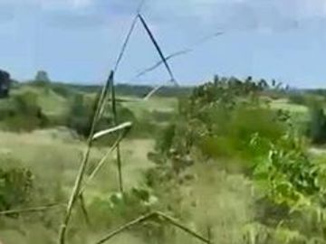 12 Hectares Lot For Sale Along Municipal Road in DRT Bulacan