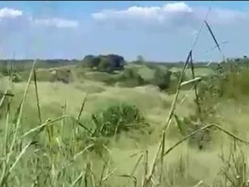 12 Hectares Lot For Sale Along Municipal Road in DRT Bulacan