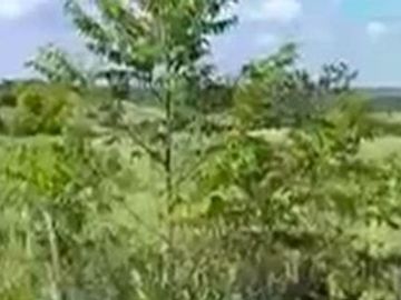 12 Hectares Lot For Sale Along Municipal Road in DRT Bulacan