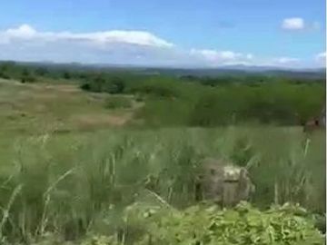 12 Hectares Lot For Sale Along Municipal Road in DRT Bulacan