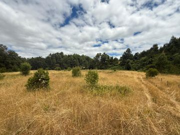 Se Venden Parcelas en proyecto “El Hualle escondido”, El Salto, Los Lagos, Región de Los Ríos.