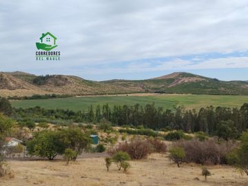 Se vende parcela de 5.000 m² en Lomas de Rauquén, con agua potable.