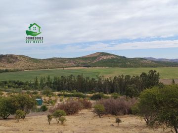 Se vende parcela de 5.000 m² en Lomas de Rauquén, con agua potable.
