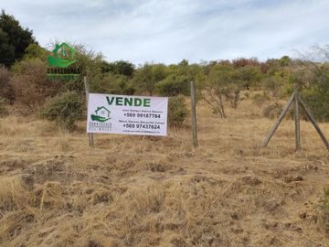 Se vende parcela de 5.000 m² en Lomas de Rauquén, con agua potable.