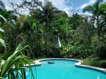 Residential House and Lot for Sale – European-Standard Home at a Bargain Price!