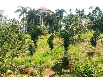 Residential House and Lot for Sale – European-Standard Home at a Bargain Price!