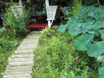 Residential House and Lot for Sale – European-Standard Home at a Bargain Price!