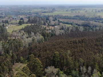 Oportunidad !!. Se venden 9,8has en la comuna de Mafil, a 40km de Valdivia