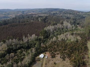 Oportunidad !!. Se venden 9,8has en la comuna de Mafil, a 40km de Valdivia