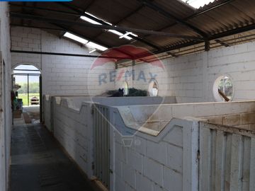 Finca de Venta en Salinas-Ibarra