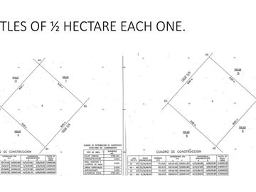 Hectárea titulada en venta en Francisco Uh May- Tulum