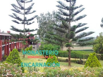 SE VENDE TERRENO EN PACHACAMAC *EXCELENTE UBICACIÓN *DISEÑA TU CASA DE CAMPO SOÑADA