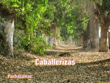 SE VENDE TERRENO EN PACHACAMAC *EXCELENTE UBICACIÓN *DISEÑA TU CASA DE CAMPO SOÑADA