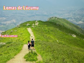 SE VENDE TERRENO EN PACHACAMAC *EXCELENTE UBICACIÓN *DISEÑA TU CASA DE CAMPO SOÑADA