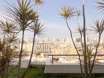 Venta De Gran Edificio Comercial En Plena Avenida, Límite Con Miraflores. (De Estreno)