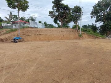 For Sale 1,680 Sq.m Residential Lot in tulic Argao, Cebu