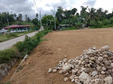 For Sale 1,680 Sq.m Residential Lot in tulic Argao, Cebu