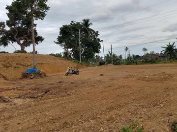 For Sale 1,680 Sq.m Residential Lot in tulic Argao, Cebu