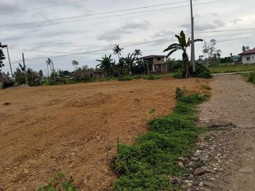 For Sale 1,680 Sq.m Residential Lot in tulic Argao, Cebu