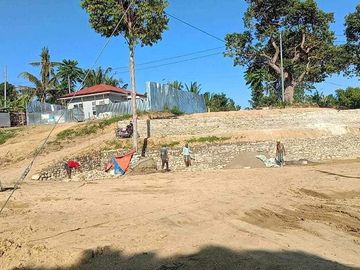 For Sale 1,680 Sq.m Residential Lot in tulic Argao, Cebu