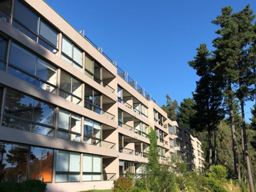 Departamento a la venta en LONCO PARQUE