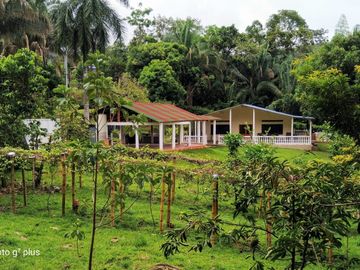 MARAVILLOSA CASA EN MELGAR