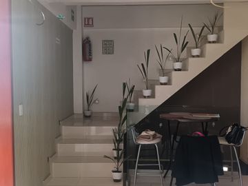 Venta De Edificio | Construcción 517 | Col. Jardines De Morelos