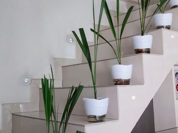 Venta De Edificio | Construcción 517 | Col. Jardines De Morelos