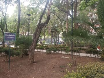 Funcional departamento pequeño en el corazón de la Colonia del Valle