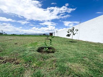TERRENOS CAMPESTRES EN VENTA - SECTOR A POCOS MINUTOS DE GUAYLLABAMBA