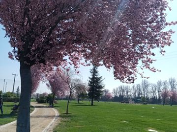 Parque Canaan Pudahuel