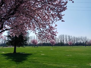 Parque Canaan Pudahuel